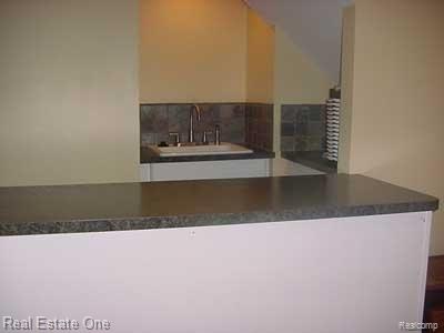 2403 Pleasant View Drive Rochester, MI 48306 - Photo 13 of 20 LowerLevel Wet Bar