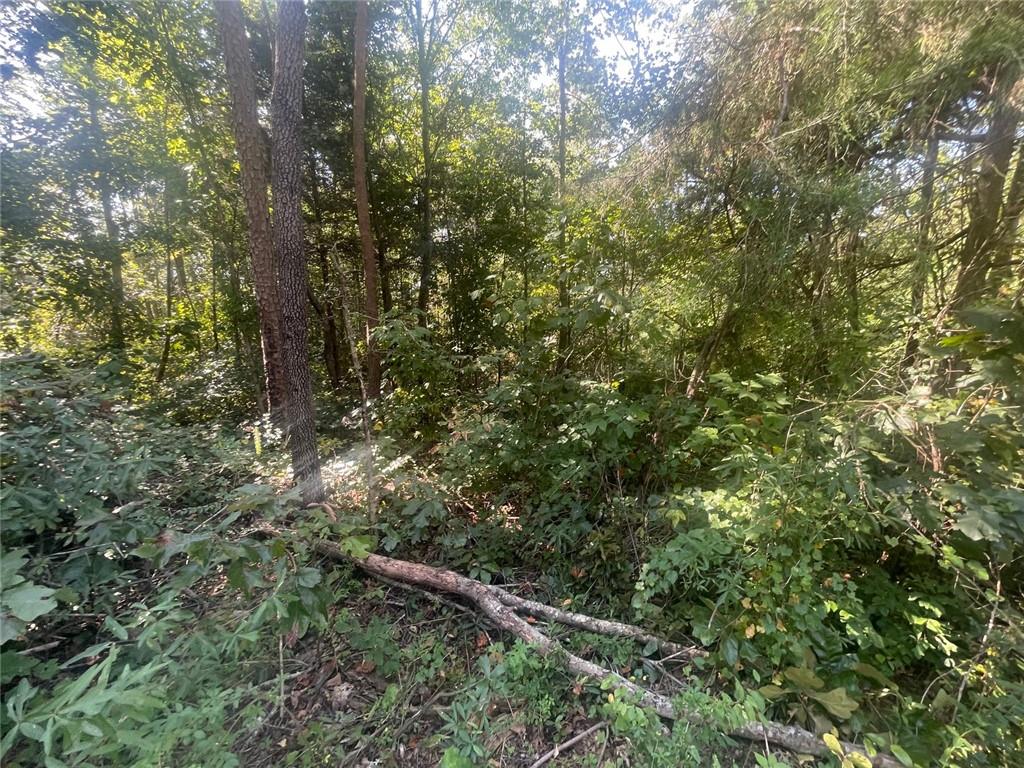 161 Apache Trail Martin, GA 30557 - Photo 6 of 8 Gallery Image 6