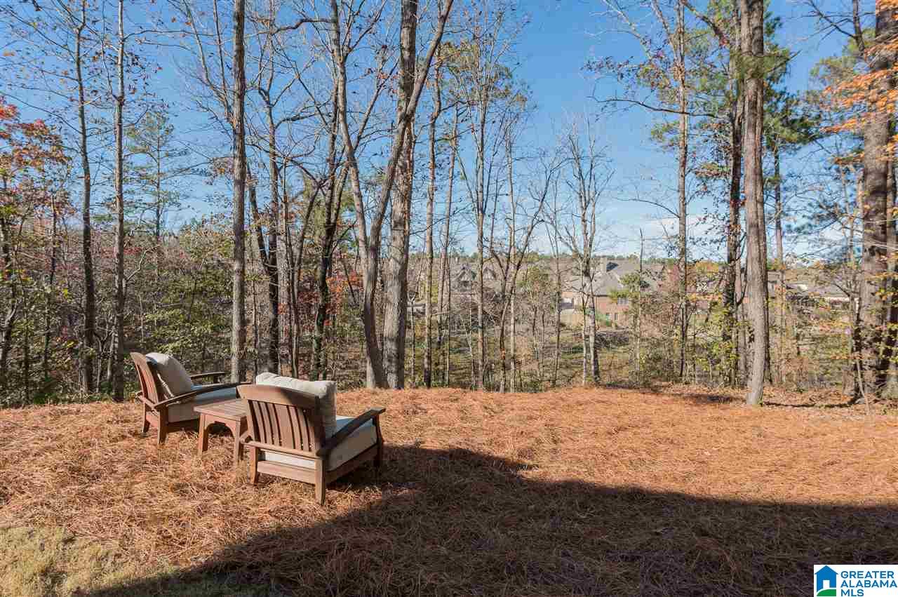479 Lake Colony Way Birmingham, AL 35242 - Photo 49 of 50