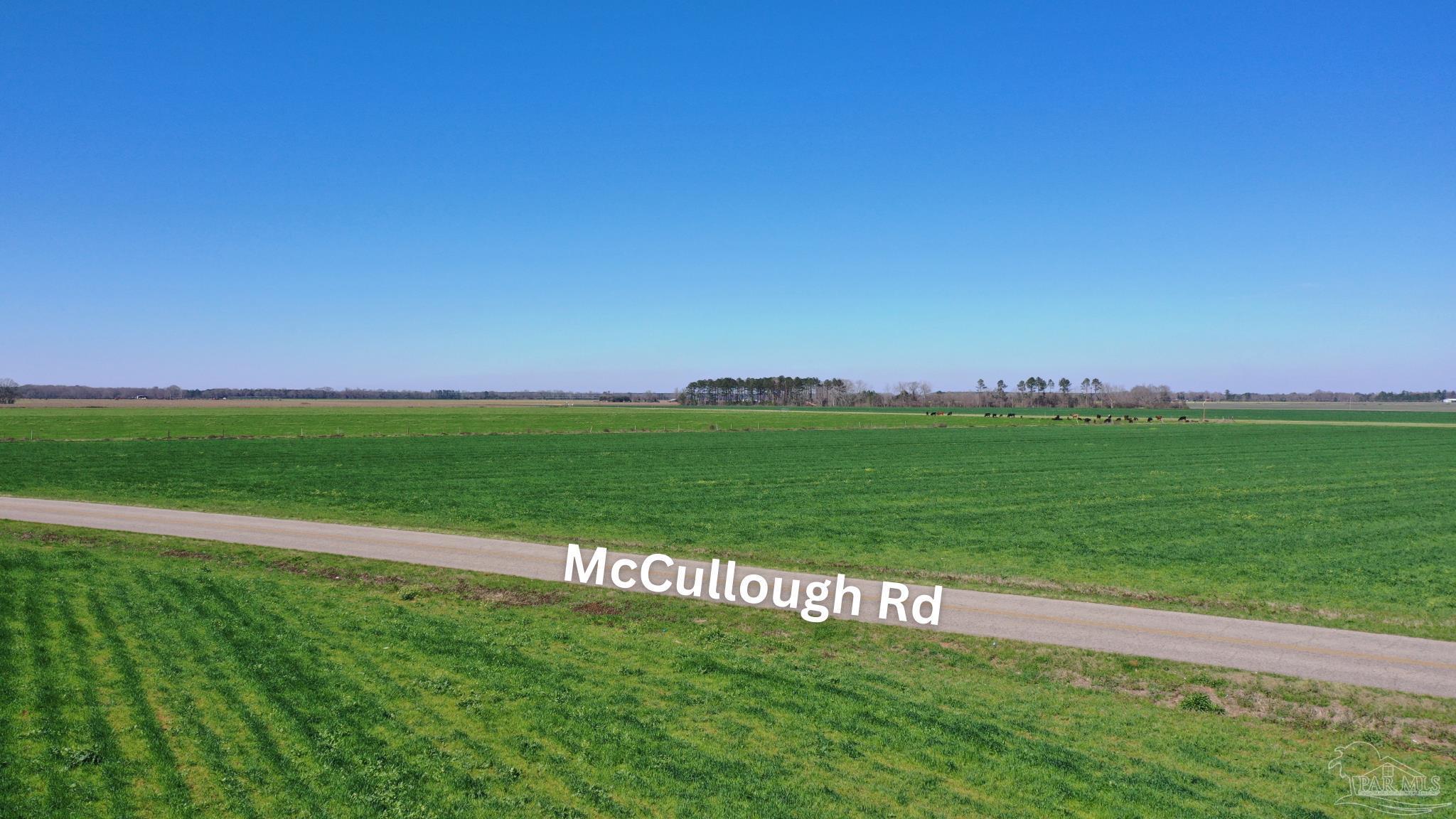 Lot 2 Mccullough Road Atmore, AL 36502 - Photo 1 of 10