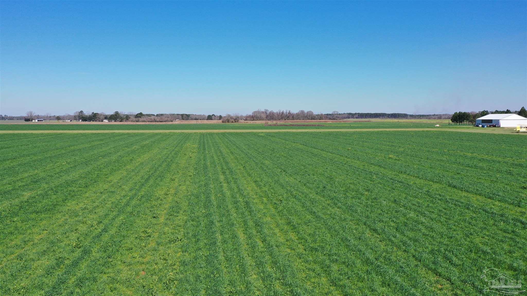 Lot 2 Mccullough Road Atmore, AL 36502 - Photo 4 of 10