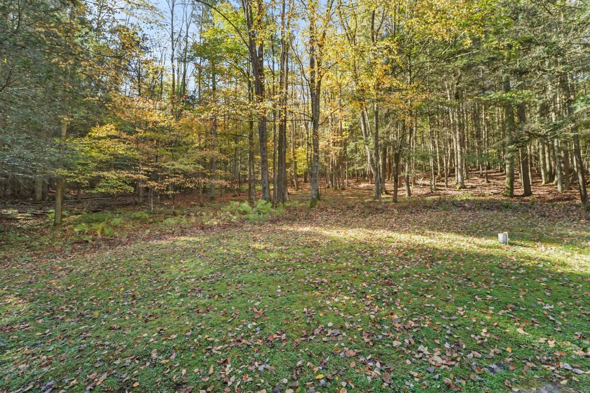 352 West Hill Road Vestal, NY 13850 - Photo 31 of 34 Gallery Image 31