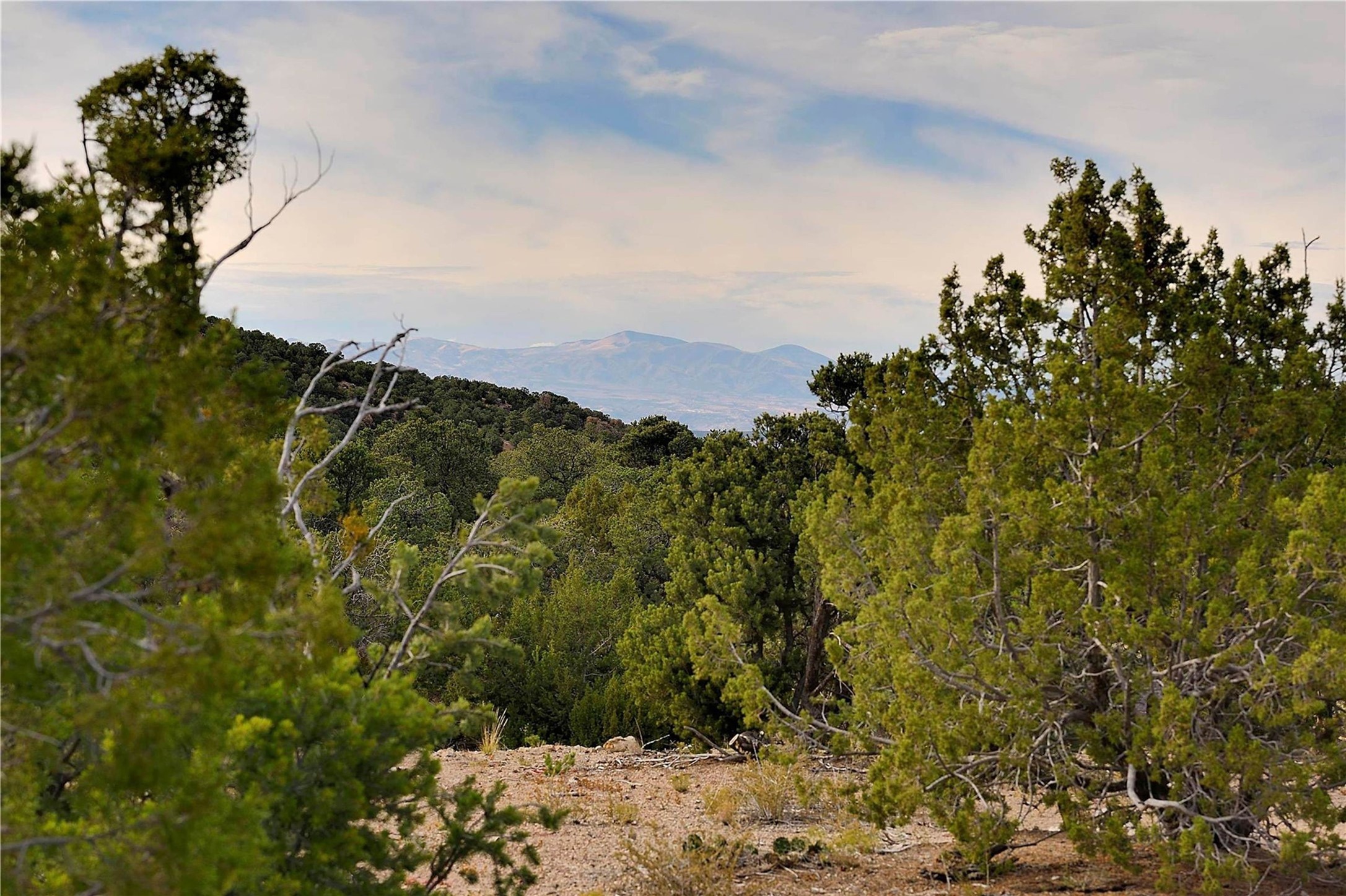 1109 South Summit Ridge Santa Fe, NM 87501 - Photo 2 of 9