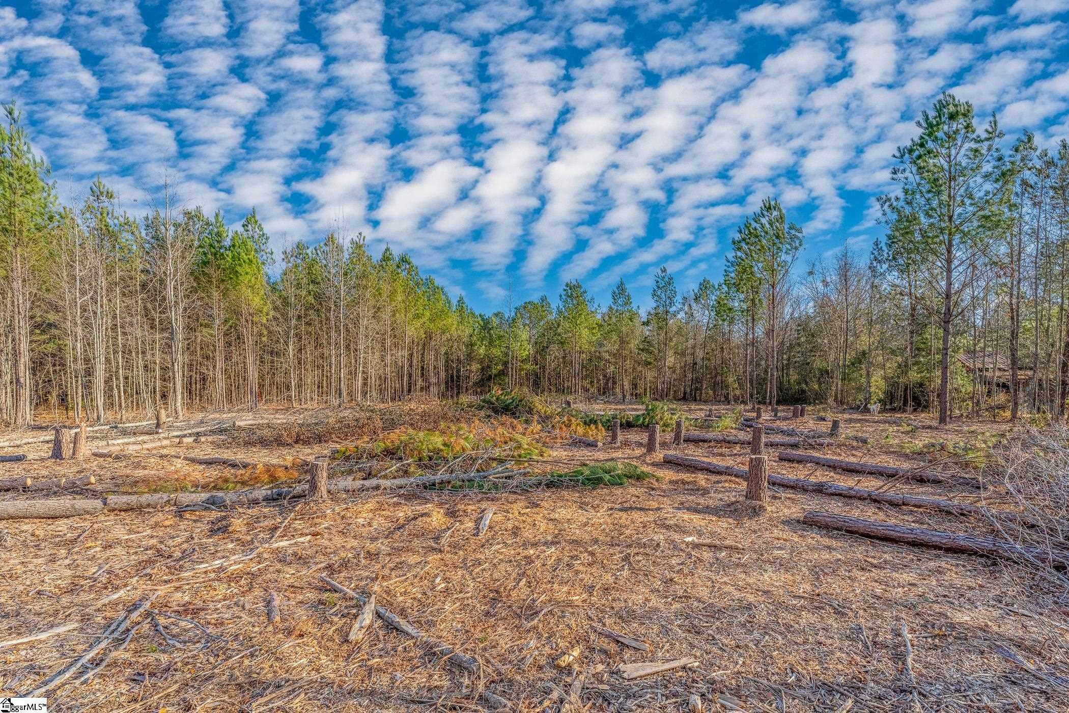 56 Gin Mill Road Honea Path, SC 29654 - Photo 3 of 12 Gallery Image 3