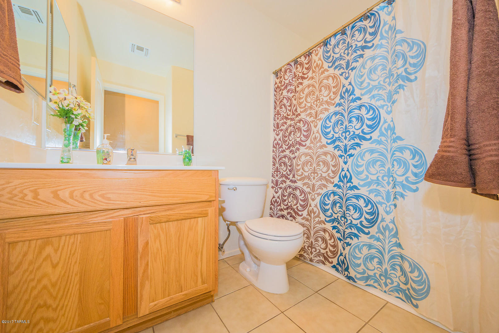 10886 South Arrowhead Spring Drive Vail, AZ 85641 - Photo 17 of 19