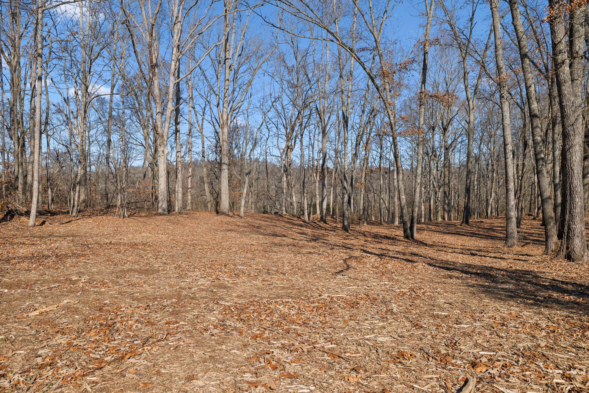 5988 Shelbyville Road Morrison, TN 37357 - Photo 60 of 67 Gallery Image 60