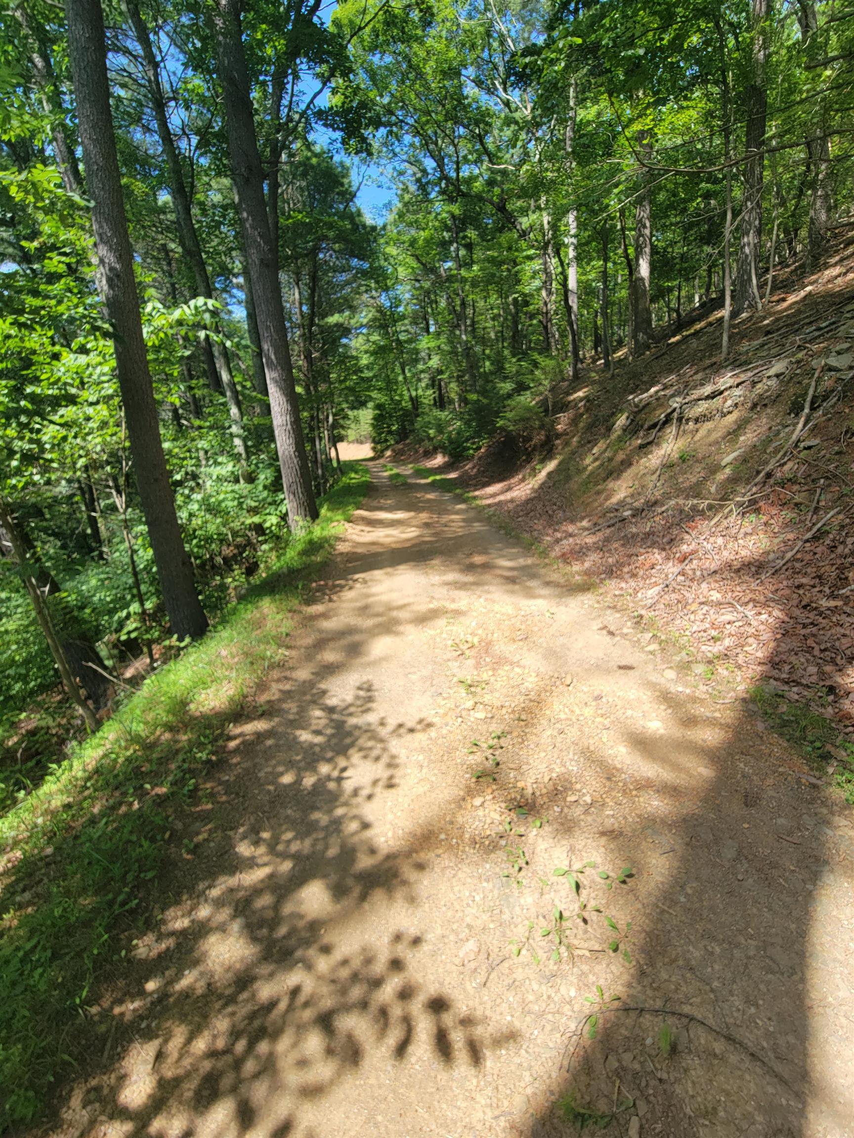 Tbd German River Road Fulks Run, VA 22830 - Photo 3 of 8 Gallery Image 3