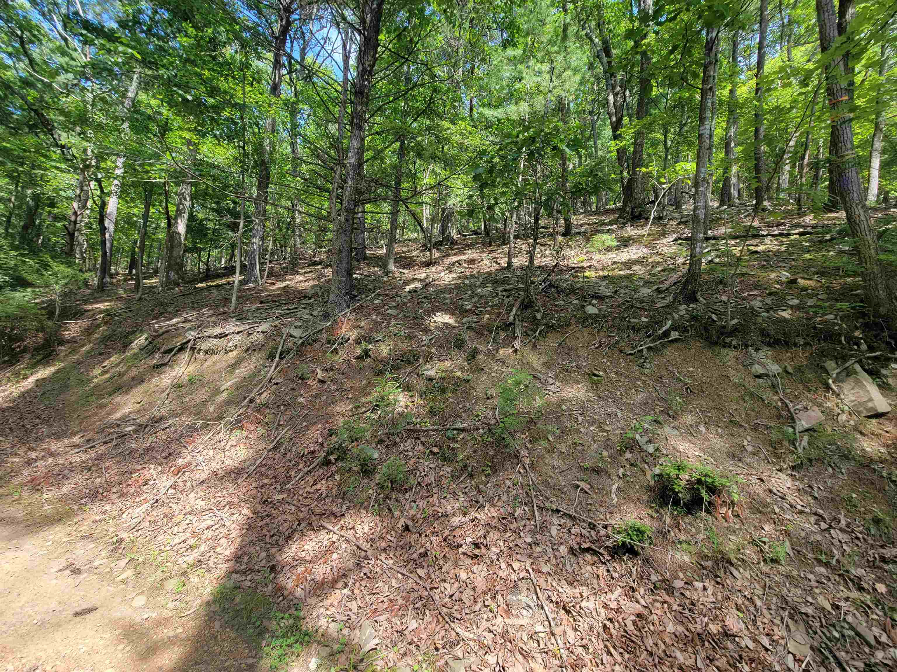 Tbd German River Road Fulks Run, VA 22830 - Photo 4 of 8 Gallery Image 4