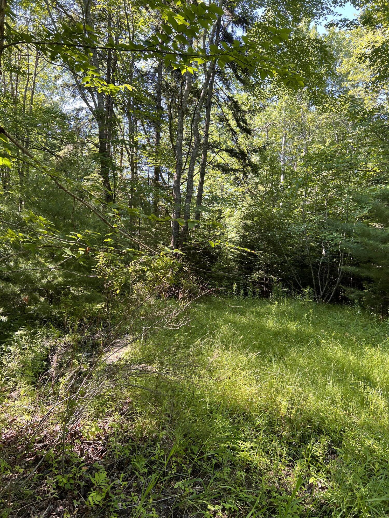 Tbd Needle's Eye Road Lamoine, ME 04605 - Photo 5 of 5 photo 5