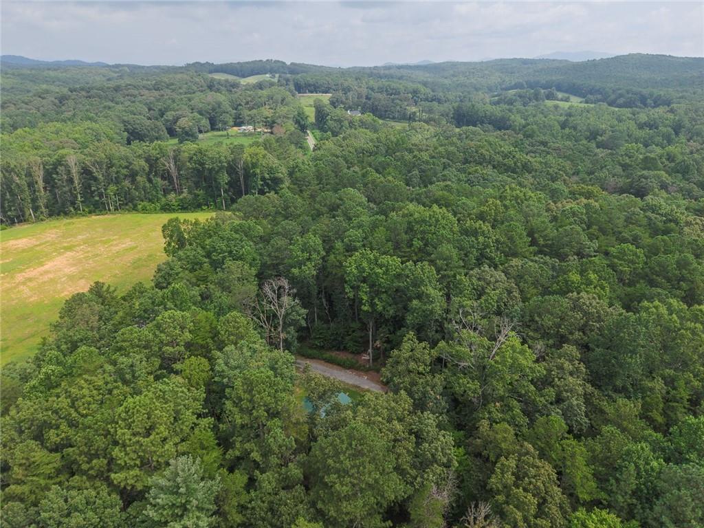 7379 Yukon Road Talking Rock, GA 30175 - Photo 26 of 27