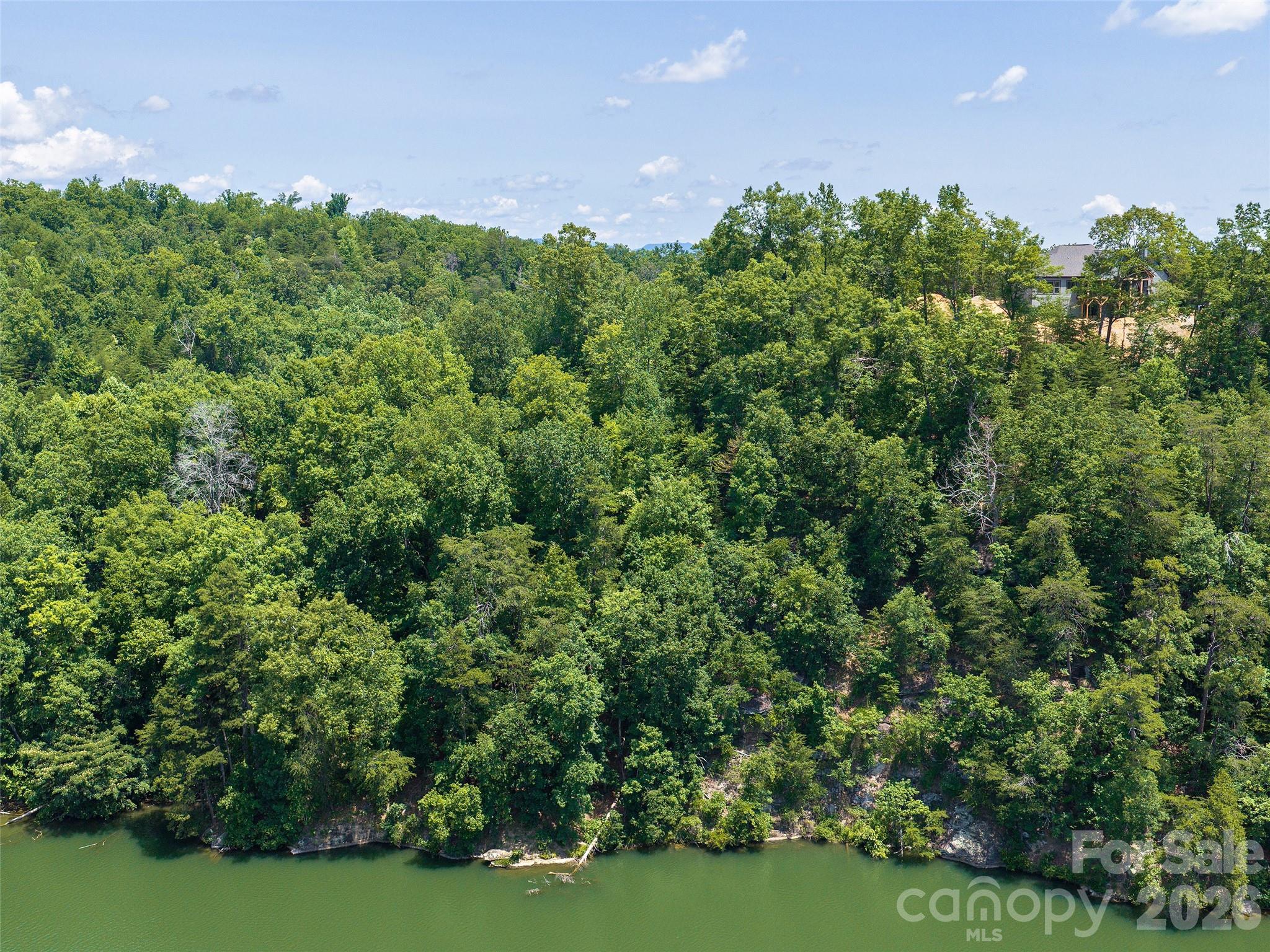 Lot 3 Loggers Pass Ln Mill Spring Mill Spring, NC 28756 - Photo 6 of 13