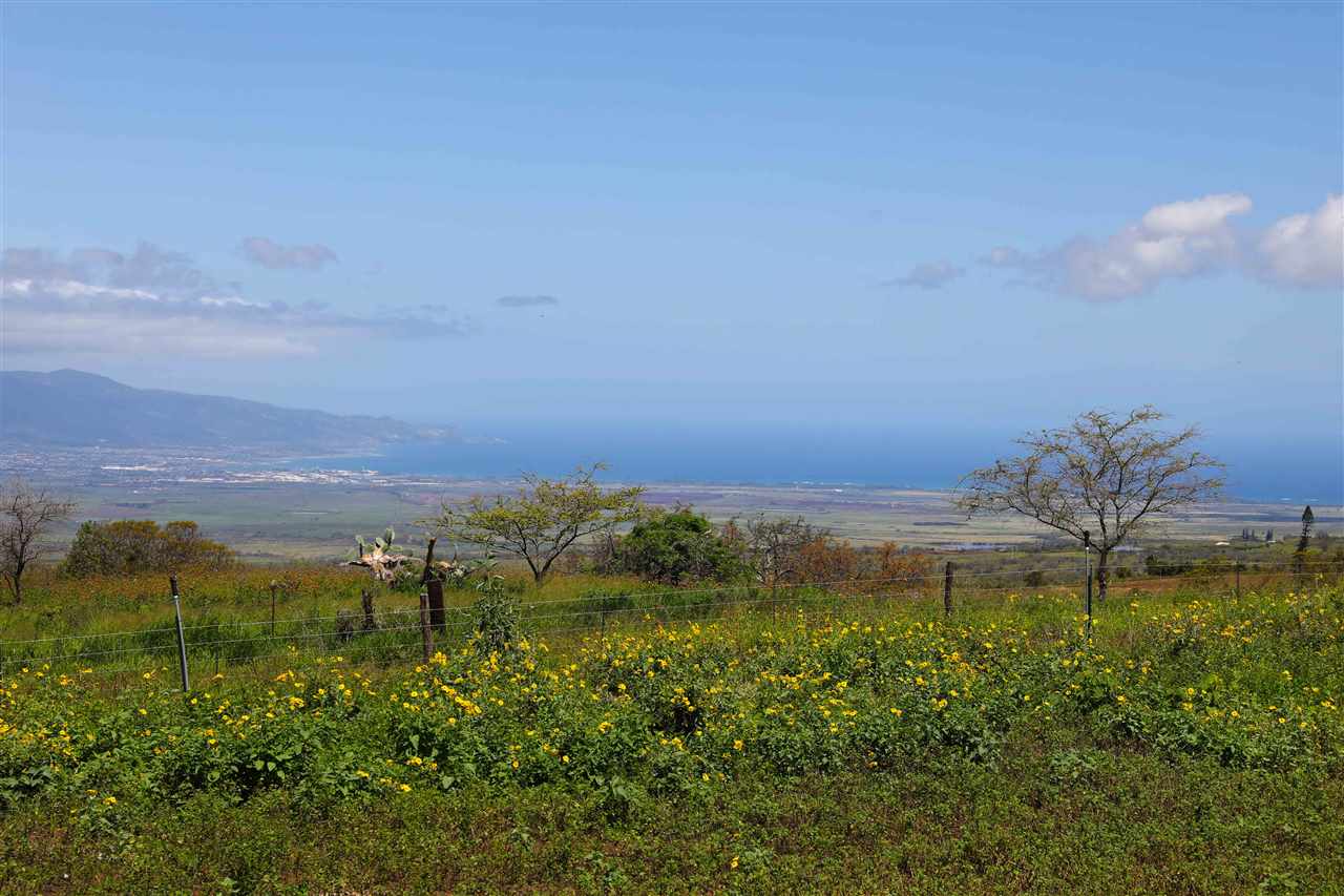 650 Calasa Road, Unit B Kula, HI 96790 - Photo 3 of 19 a view of lake with mountain in background