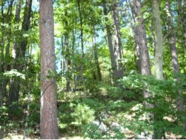 Lot 1 Two Lakes Rd Lake Lake Tomahawk, WI 54539 - Photo 2 of 12 Gallery Image 2