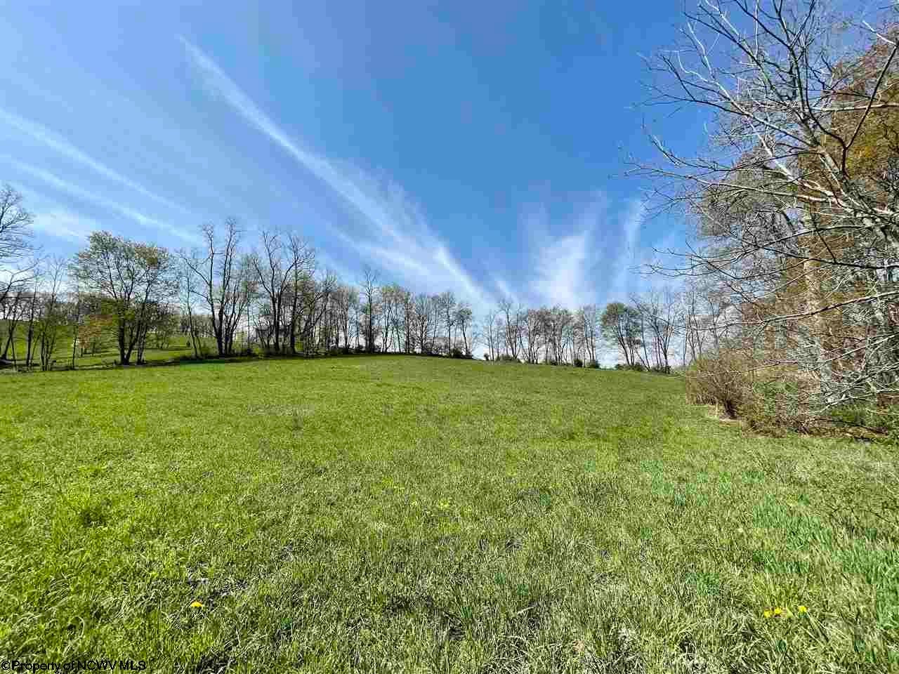 4.52-ac Little Sandy Road Albright, WV 26519 - Photo 8 of 18 Gallery Image 8