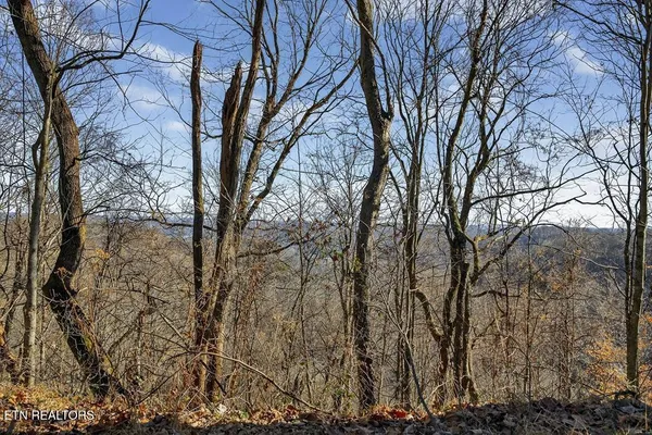 $1,300,000 | Undisclosed Address, Hickman, TN 38567