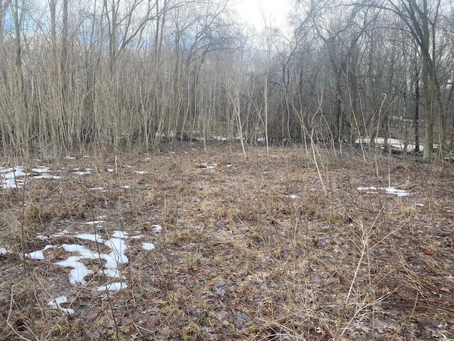 2963 Detroit Road Niles, MI 49120 - Photo 3 of 9 IMG_4994