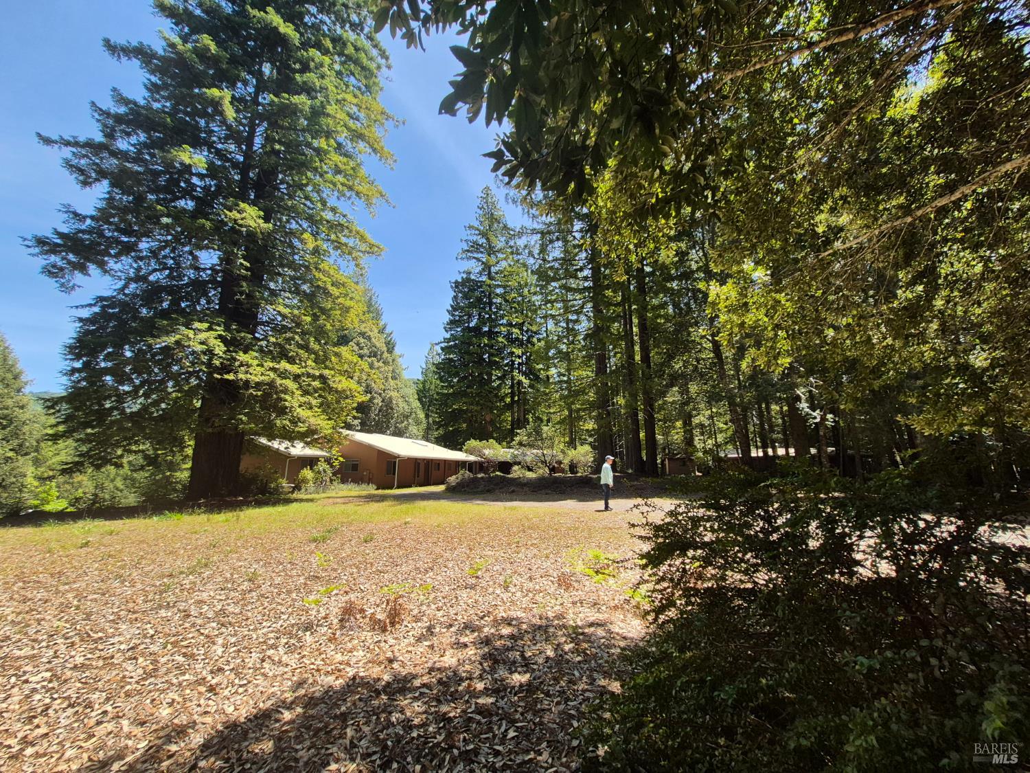 11903 Branscomb Road Laytonville, CA 95454 - Photo 4 of 72