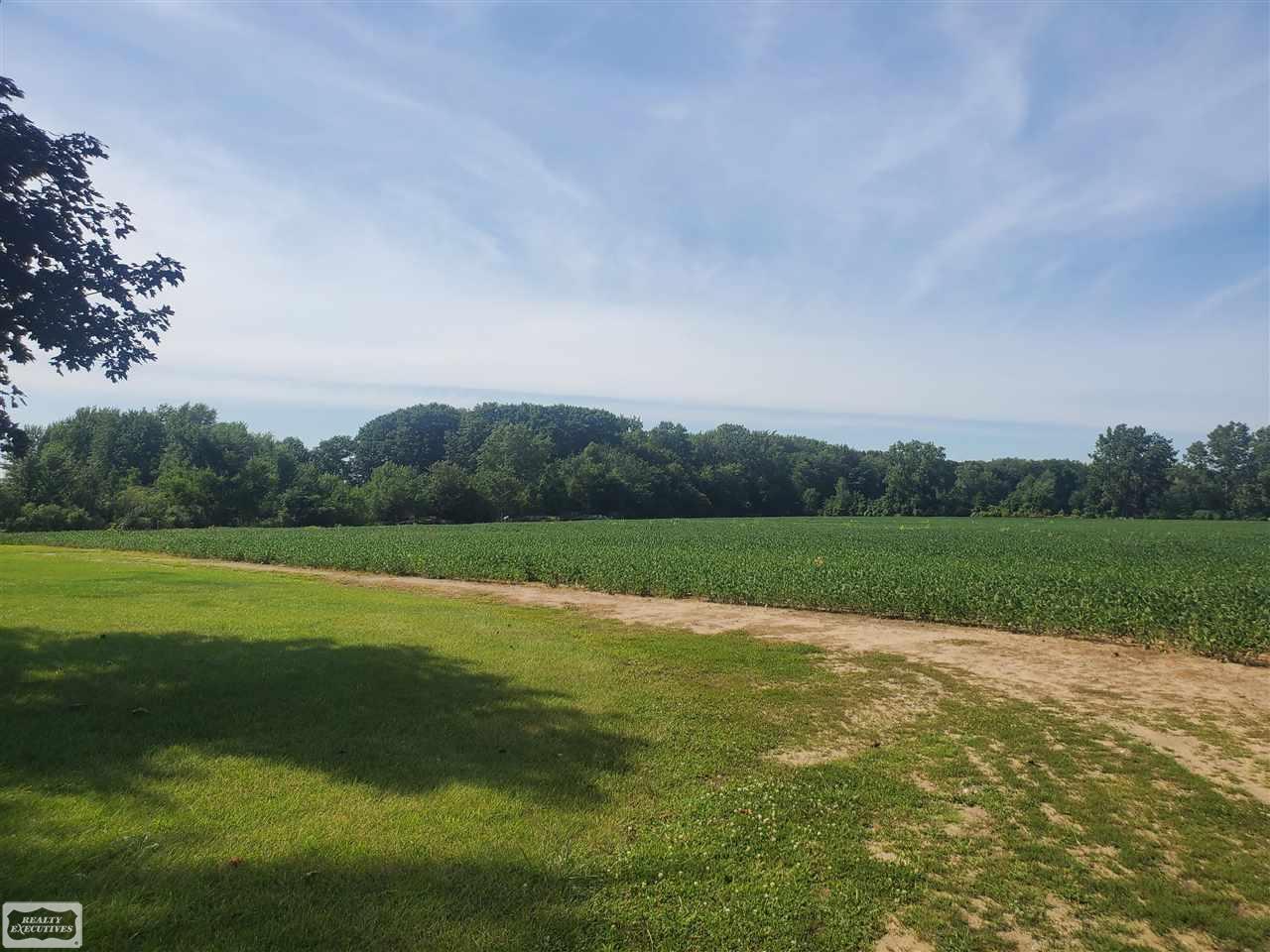31 31 Mile Road New Haven, MI 48050 - Photo 8 of 10