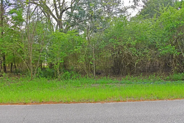 $25,000 | 0 Ridgelake(23-b) Circle, St. Matthews, SC 29135