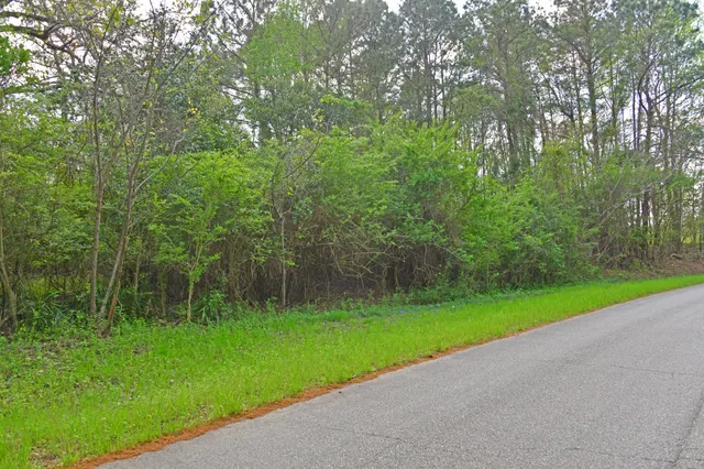 $25,000 | 0 Ridgelake(23-b) Circle, St. Matthews, SC 29135