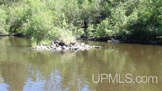 Tbd Brule River Alpha, MI 49902 - Photo 4 of 10