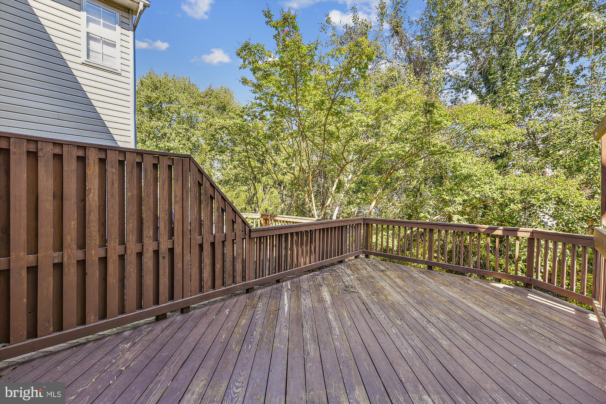 3762 Glebe Meadow Way Edgewater, MD 21037 - Photo 39 of 69