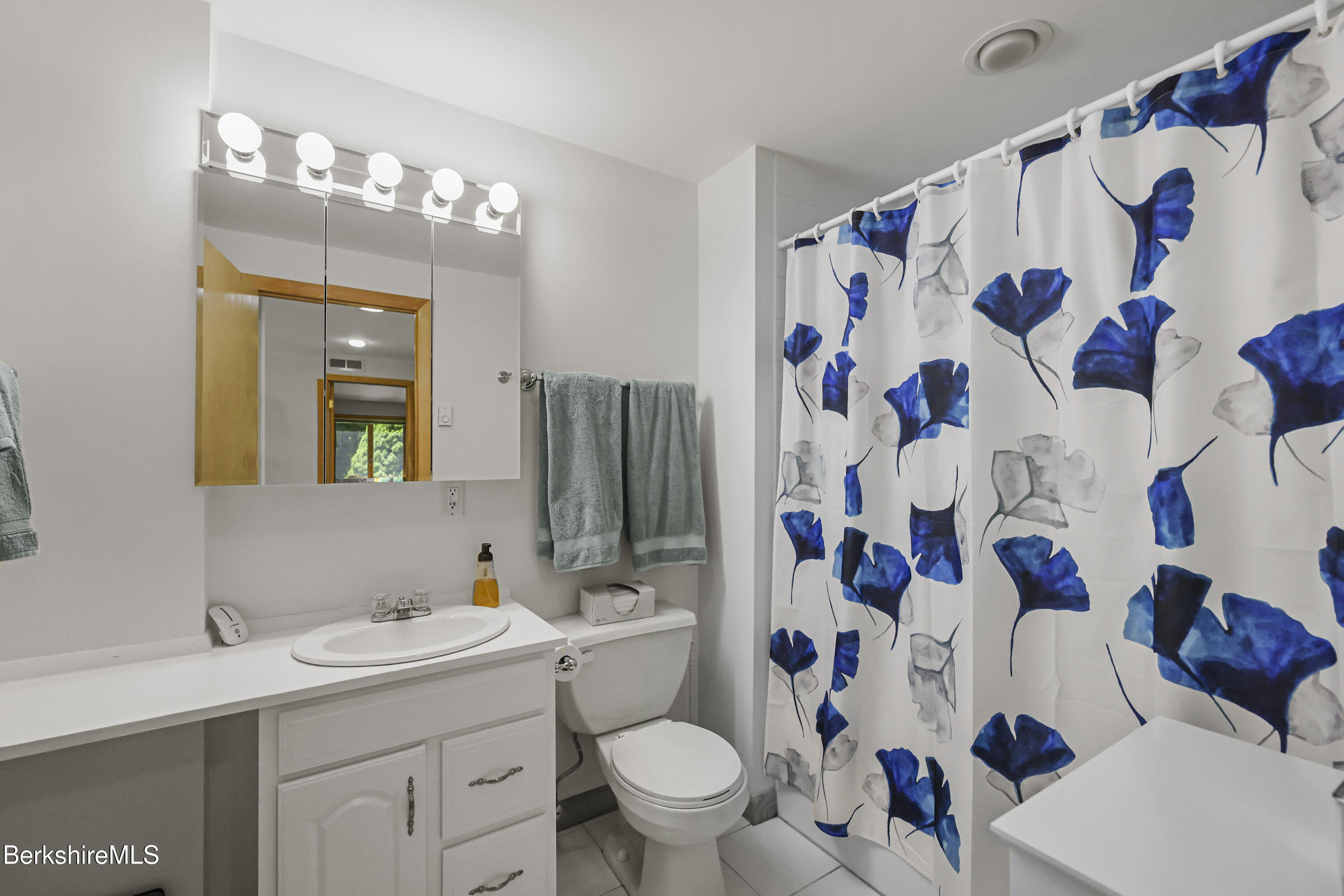 44 Prospect Hill Road Stockbridge, MA 01262 - Photo 45 of 61 Full Bath 4 Lower Level
