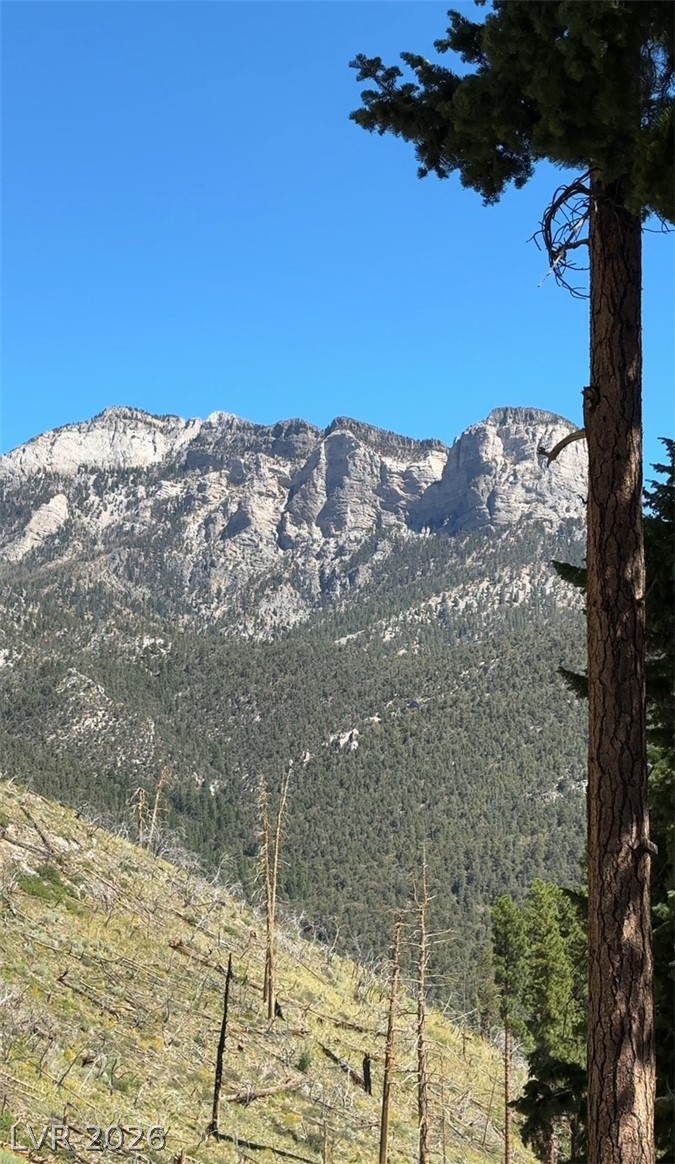 525 Snow Fall Trail Mount Charleston, NV 89124 - Photo 33 of 74