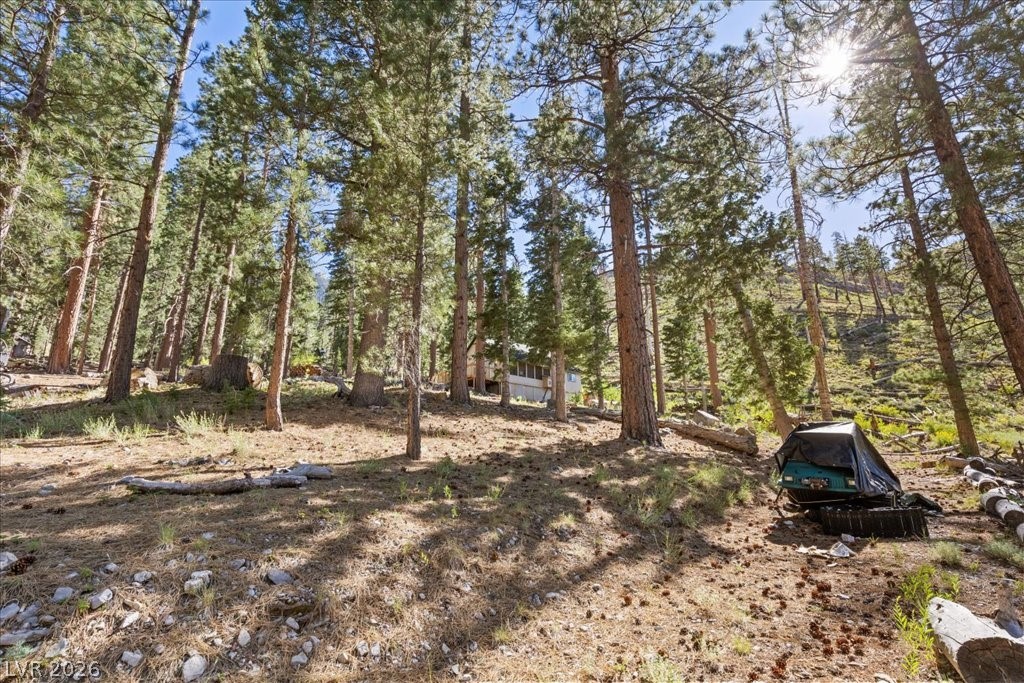 525 Snow Fall Trail Mount Charleston, NV 89124 - Photo 36 of 74