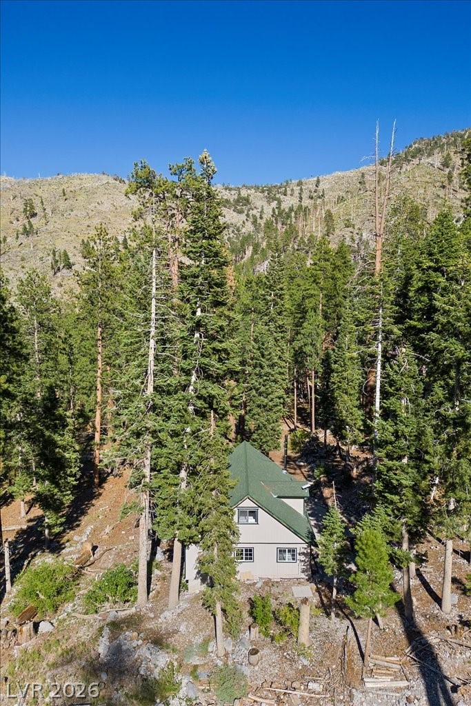 525 Snow Fall Trail Mount Charleston, NV 89124 - Photo 48 of 74