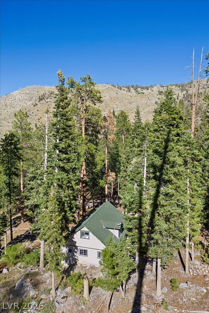 525 Snow Fall Trail Mount Charleston, NV 89124 - Photo 50 of 74