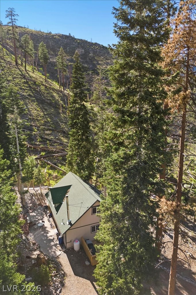 525 Snow Fall Trail Mount Charleston, NV 89124 - Photo 51 of 74