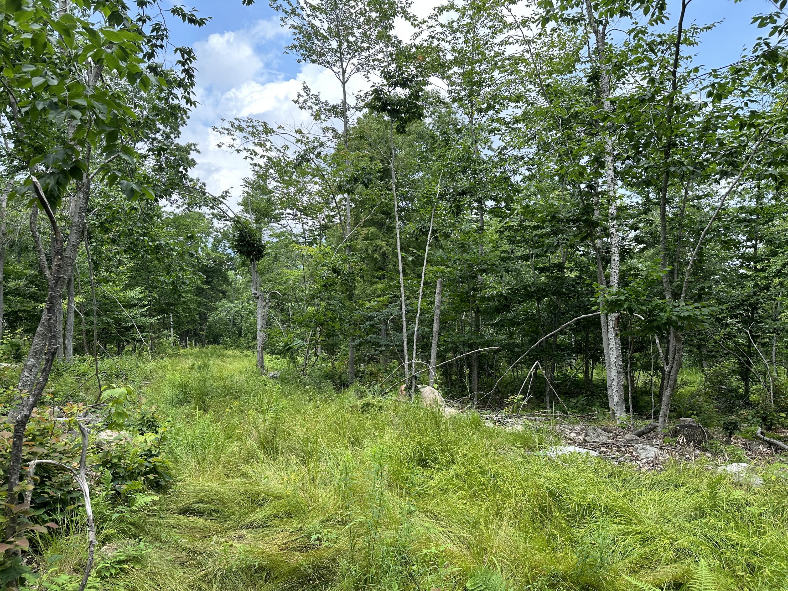Lot 6-6 Hio Ridge Road Bridgton, ME 04009 - Photo 2 of 8 Photo 4