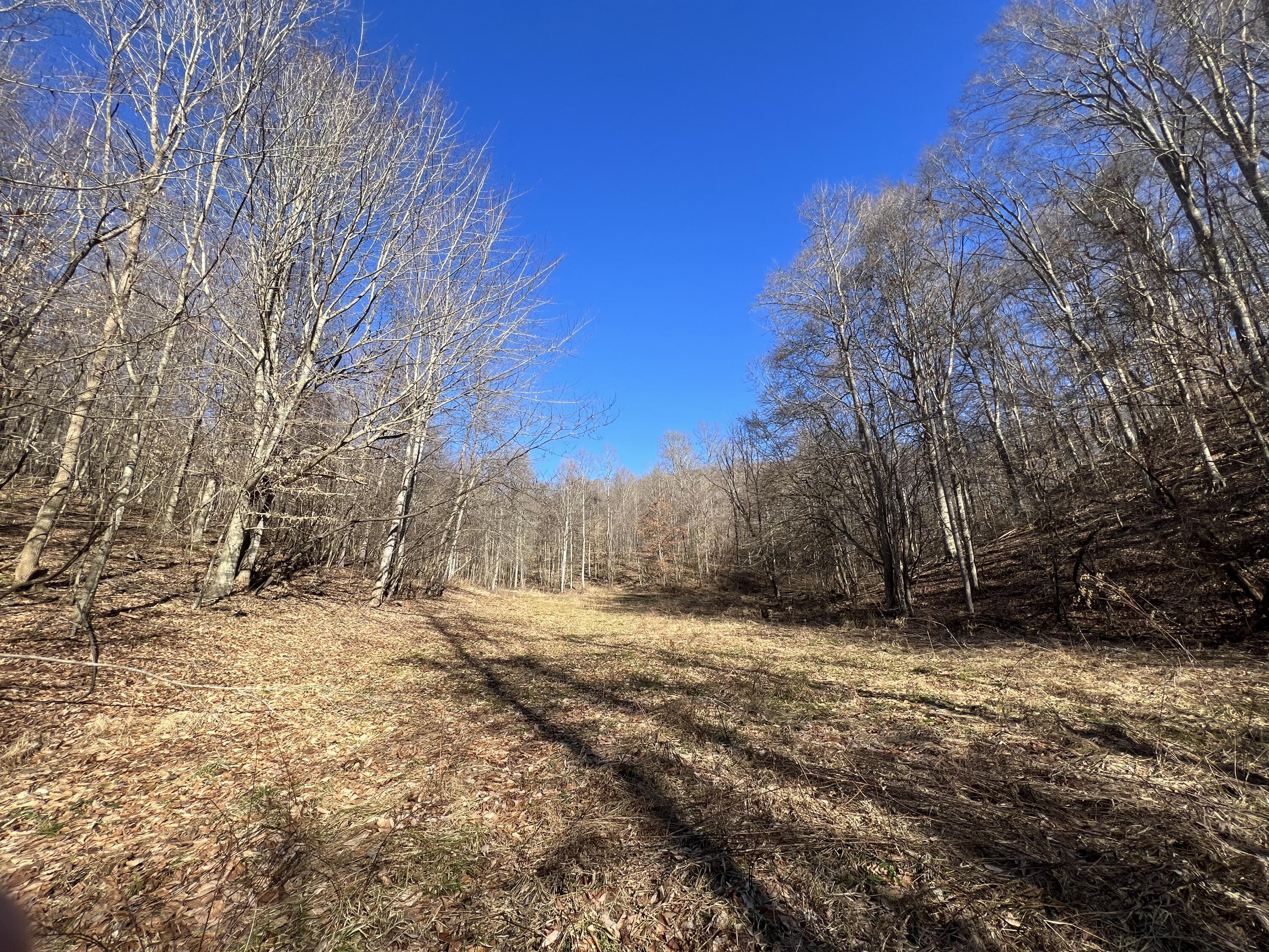 406 Harrod Branch Road London, KY 40741 - Photo 25 of 27 E8DB0204-25C5-4AC4-9CBC-D217A299BE8C