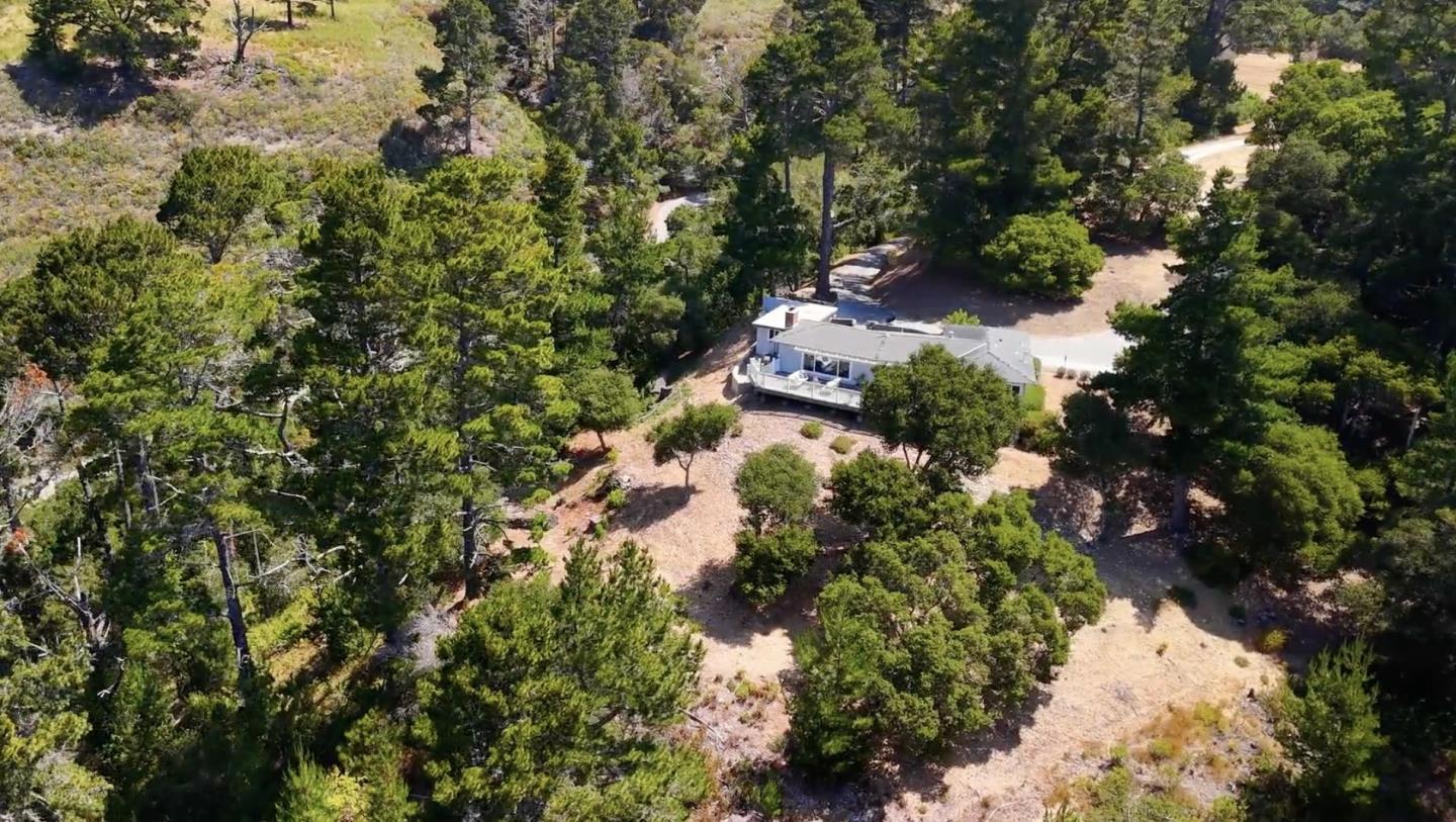 a plant that is in a garden