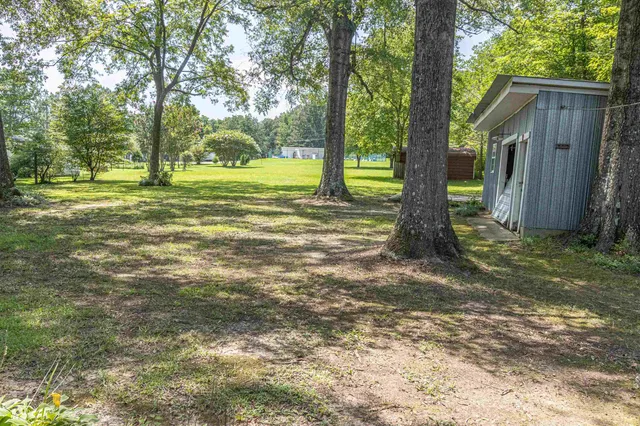 a view of a trees in a yard