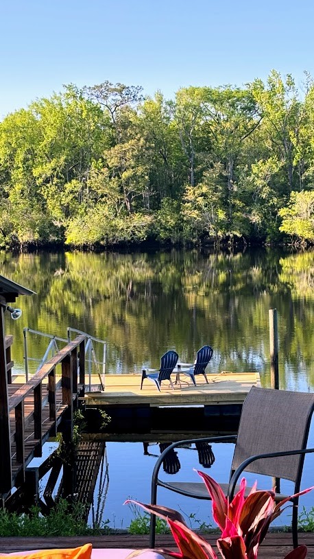 90 Manning Road Folkston, GA 31537 - Photo 25 of 25