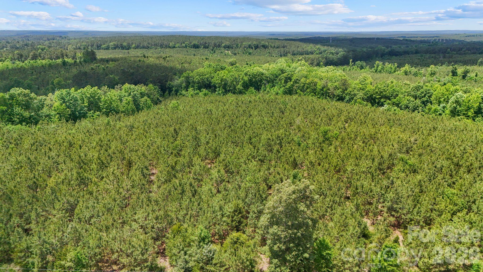 0 Cool Branch Road, Unit 3 Carlisle, SC 29031 - Photo 17 of 20
