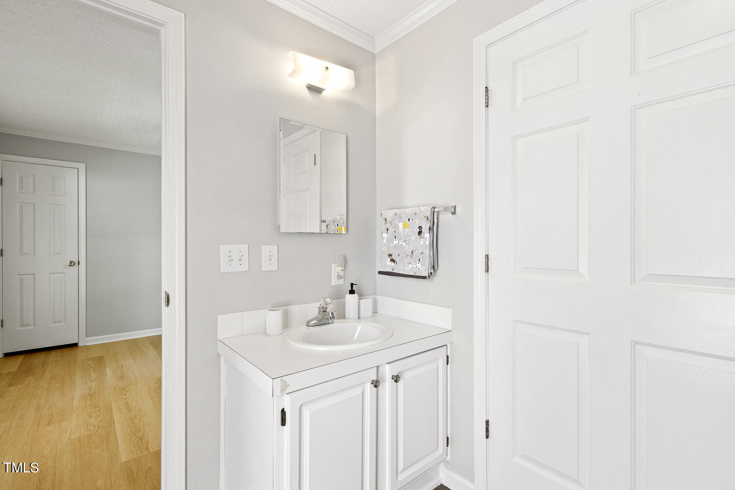134 Rollins Mill Road Holly Springs, NC 27540 - Photo 17 of 33 a bathroom with a sink and a mirror