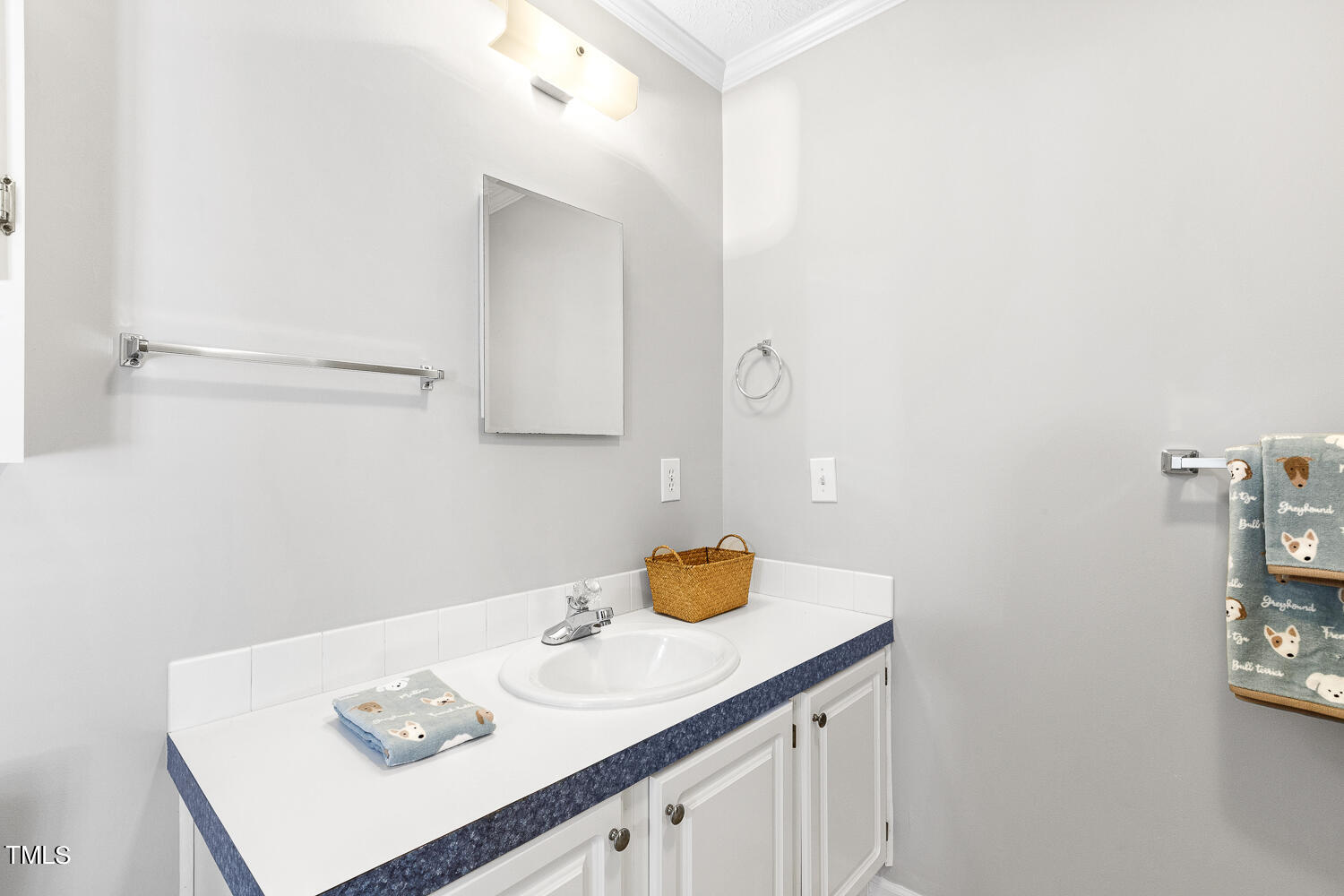 134 Rollins Mill Road Holly Springs, NC 27540 - Photo 21 of 33 a bathroom with a sink and a mirror