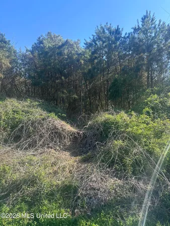 $75,000 | 263 Humphrey Road, Holly Springs, MS 38635