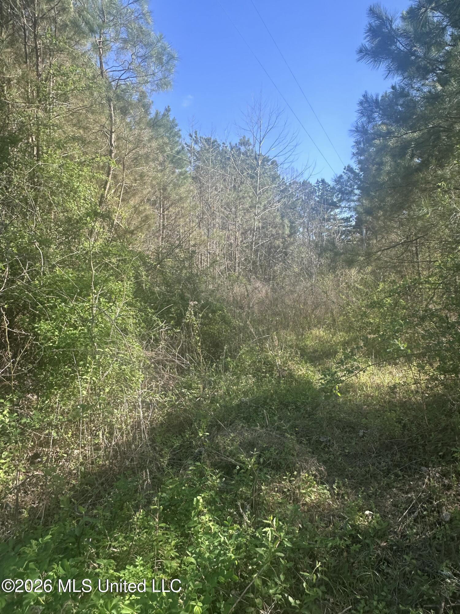 263 Humphrey Road Holly Springs, MS 38635 - Photo 2 of 6 IMG_9412