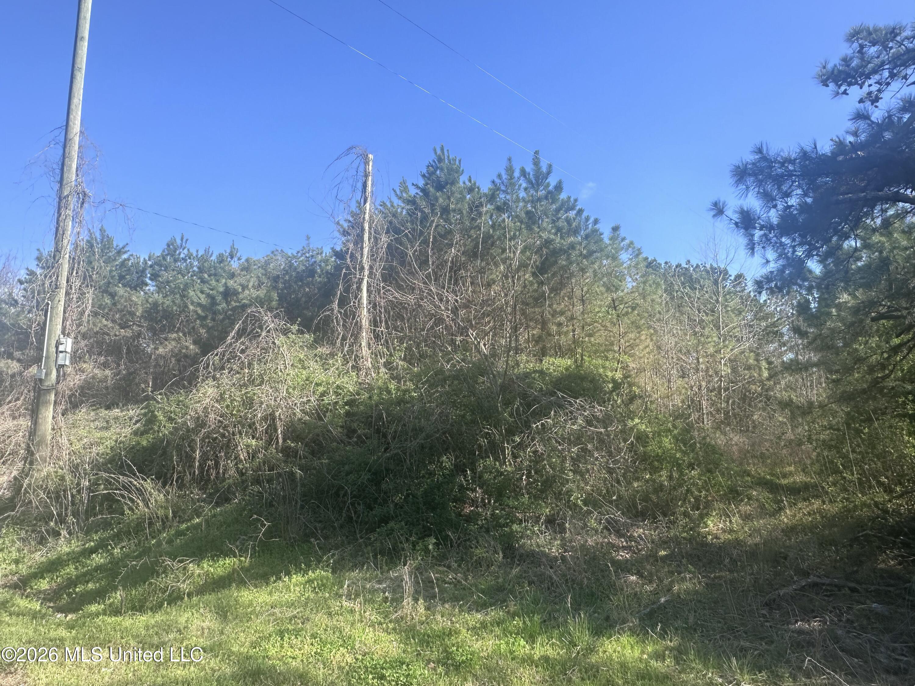 263 Humphrey Road Holly Springs, MS 38635 - Photo 3 of 6 IMG_9413
