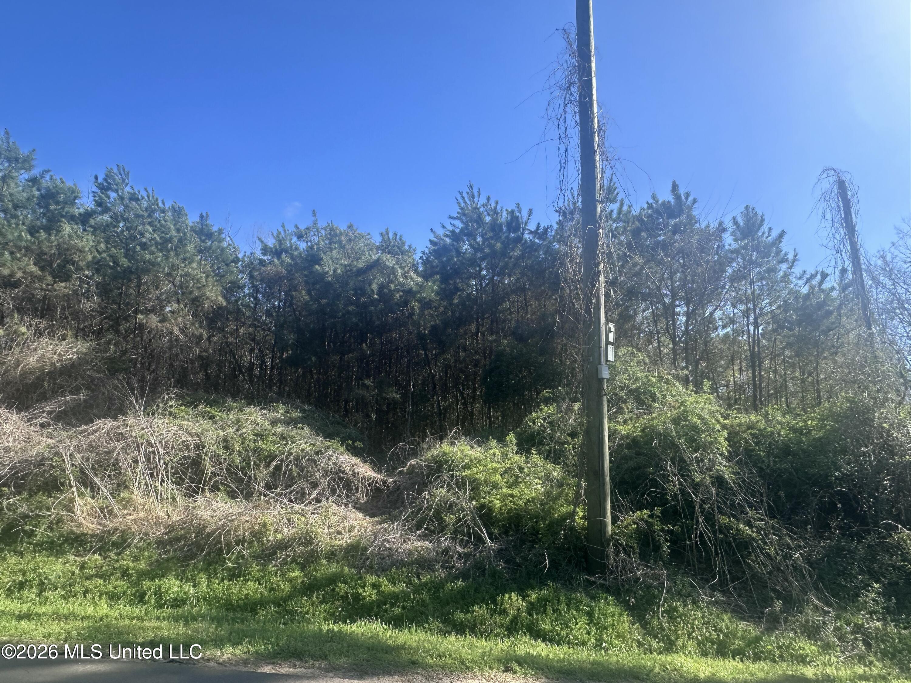 263 Humphrey Road Holly Springs, MS 38635 - Photo 4 of 6 IMG_9414