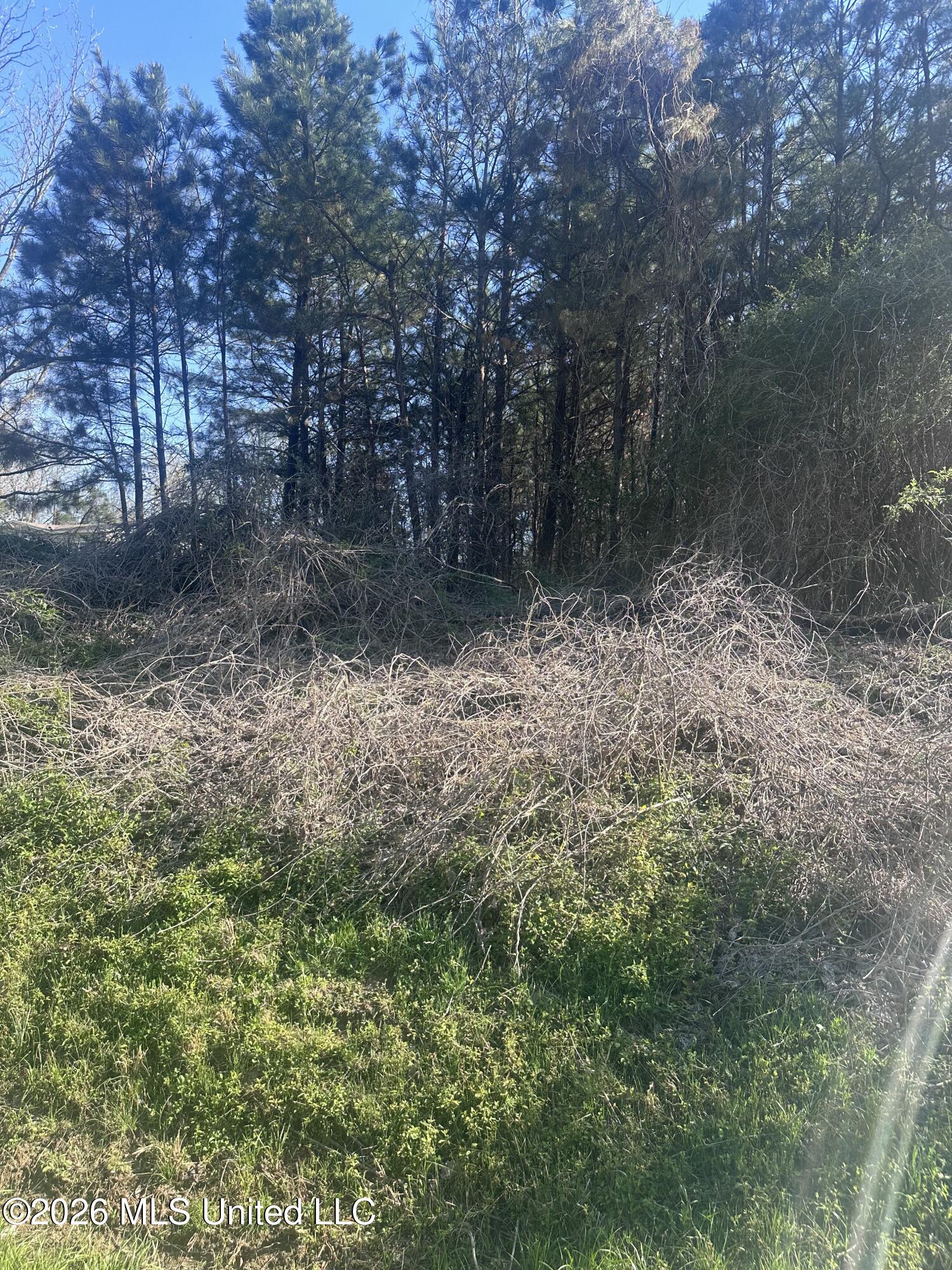 263 Humphrey Road Holly Springs, MS 38635 - Photo 5 of 6 IMG_9415