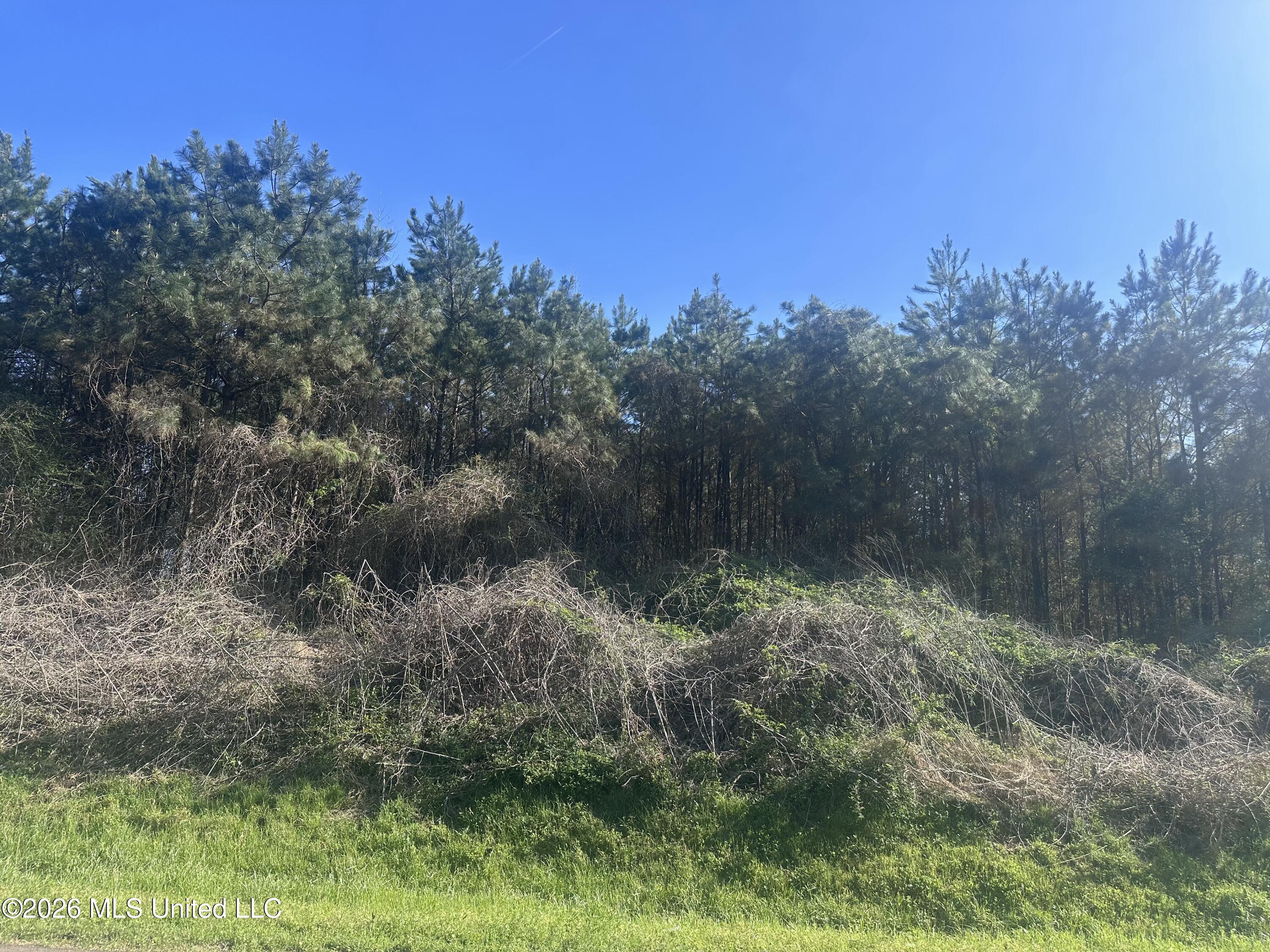 263 Humphrey Road Holly Springs, MS 38635 - Photo 6 of 6 IMG_9416