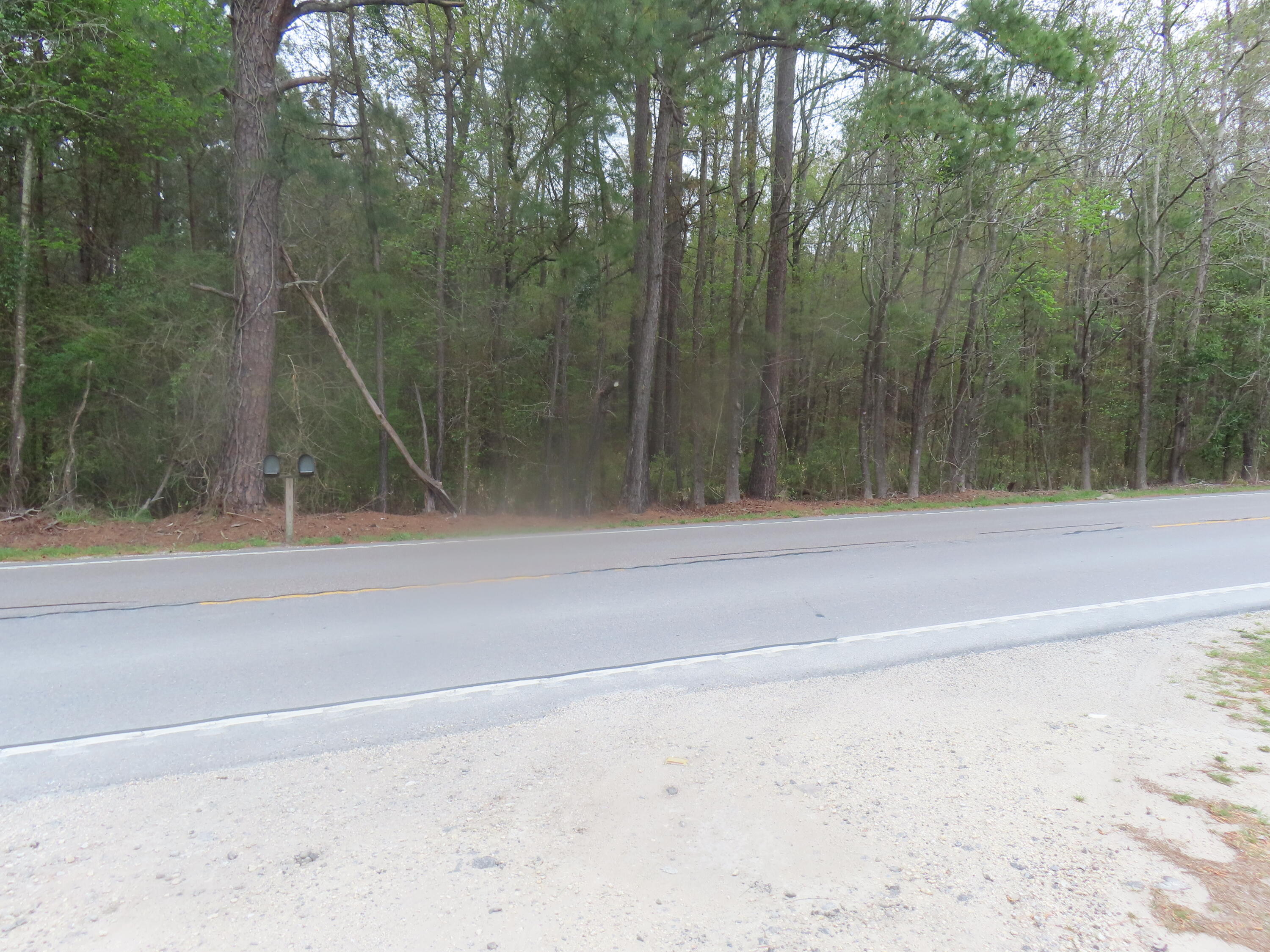 0 County Line Road Cross, SC 29436 - Photo 2 of 3 County Line Rd (4)