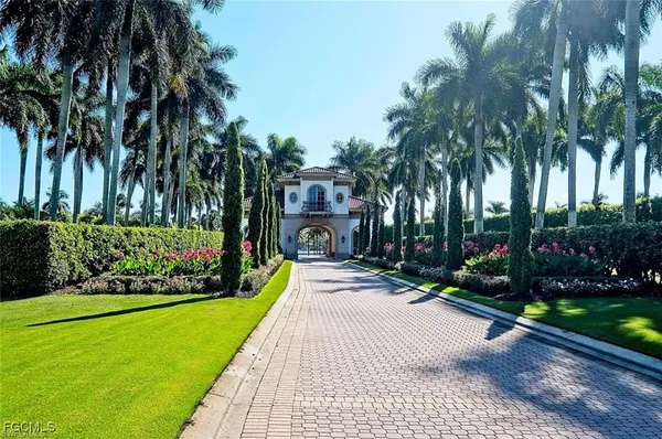 a view of a garden with palm trees
