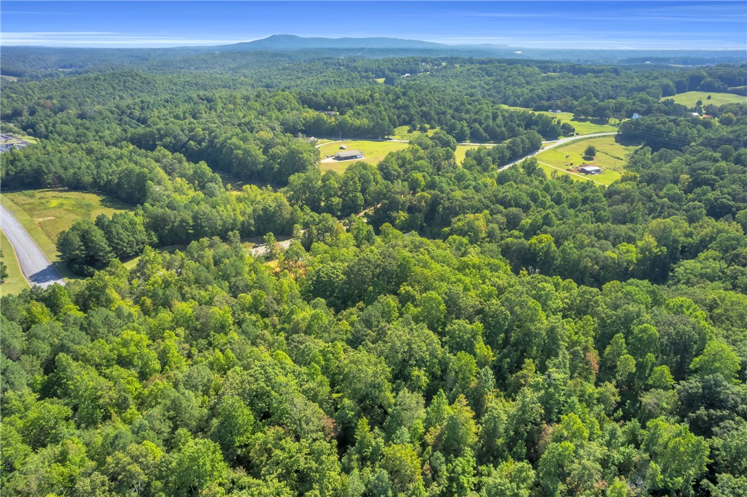 167 Cherokee Trail Easley, SC 29640 - Photo 12 of 18 Vast, verdant woodlands blanket this serene lot, offering ultimate privacy and natural beauty.