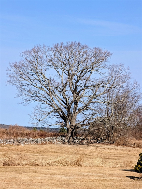 16 Sandersdale Road Charlton, MA 01507 - Photo 20 of 23